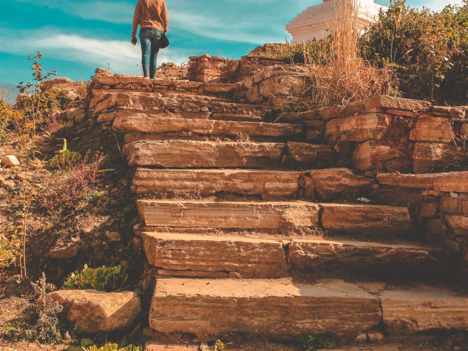 Photo of a woman's back walking up stone steps